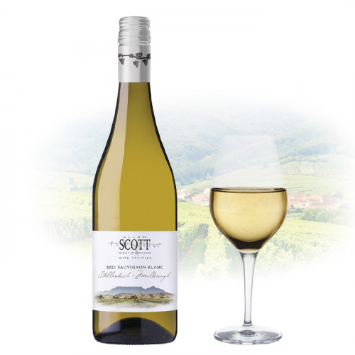 Allan Scott - Stellenbosch+Marlborough Sauvignon Blanc | New Zealand White Wine