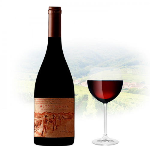 Viña Maipo - Alto Tajamar Syrah | Chilean Red Wine
