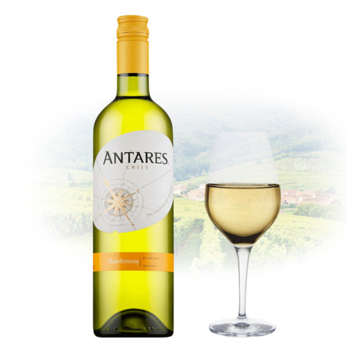 Antares - Chardonnay | Chilean White Wine
