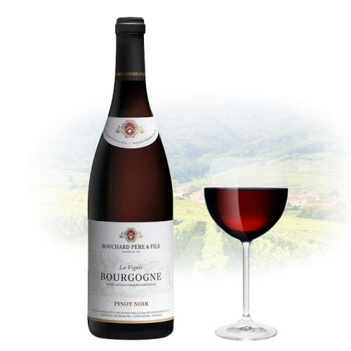 Bouchard - La Vignée Bourgogne - Pinot Noir | French Red Wine