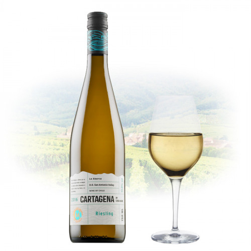 Casa Marin - Cartagena - Riesling - 2022 | Chilean White Wine