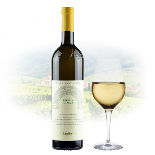 Fantinel Tenuta Sant'Helena Pinot Grigio | Italian White Wine