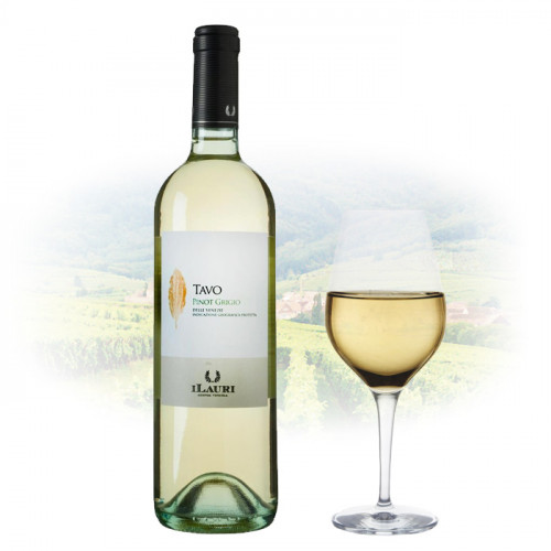 ILauri 'Tavo' - Pinot Grigio | Italian White Wine