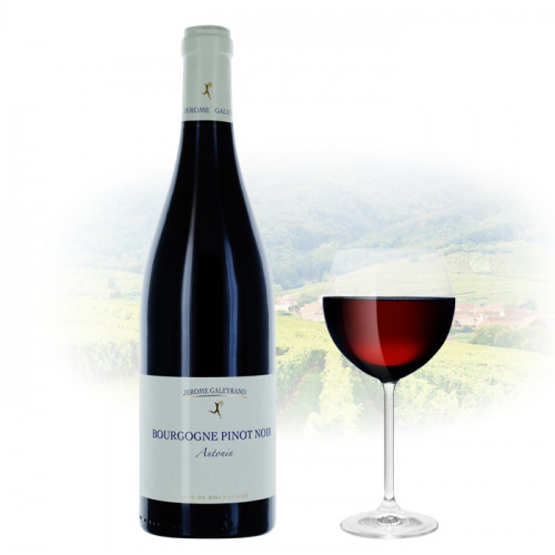 Jerome Galeyrand - Antonin - Bourgogne - Pinot Noir | French Red Wine