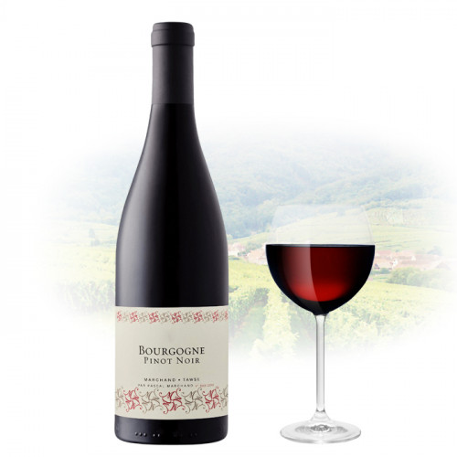 Pascal Marchand-Tawse - Bourgogne Cote d'Or - Pinot Noir | French Red Wine