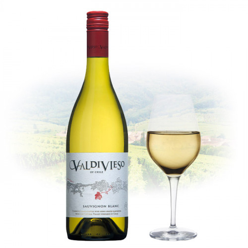Valdivieso Sauvignon Blanc | Manila Philippines Wine