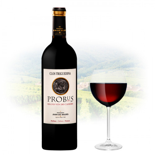 Jean-Luc Baldès - Clos Triguedina Probus - 2011 | French Red Wine