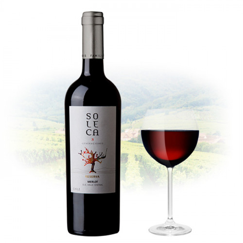 Soleca - Merlot | Chilean Red Wine