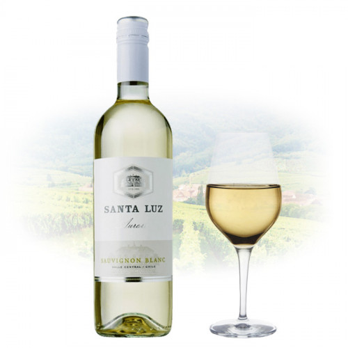 Santa Luz - Sauvignon Blanc | Chilean White Wine