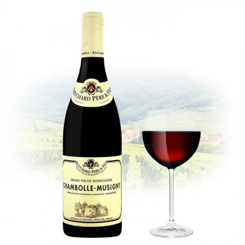 Bouchard - Chambolle-Musigny - Bourgogne | French Red Wine