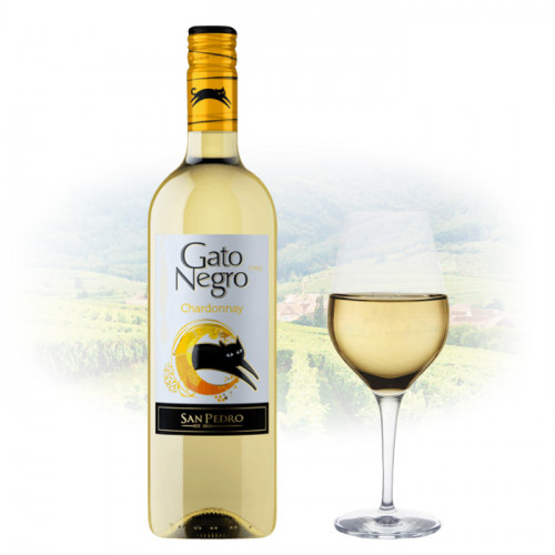Gato Negro - Chardonnay | Chilean White Wine