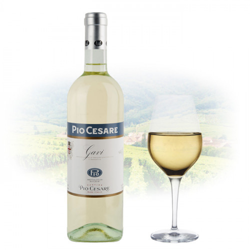 Pio Cesare - Gavi | Italian White Wine