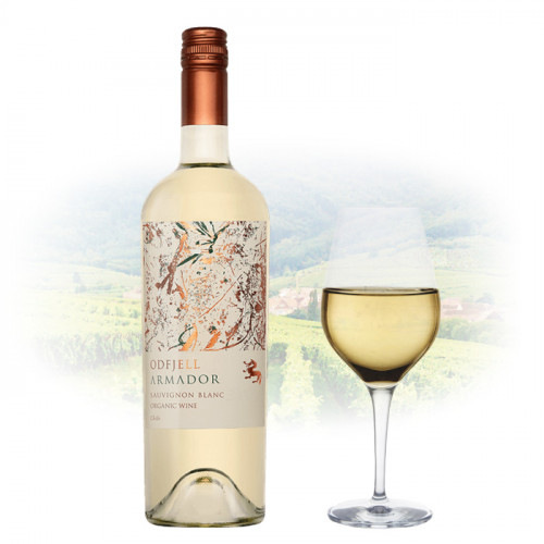 Odfjell - Armador - Sauvignon Blanc - 2021 | Chilean White Wine