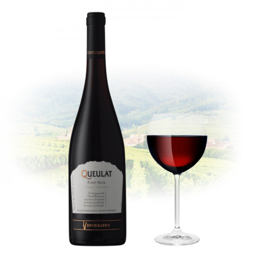 Ventisquero - Queulat Gran Reserva - Pinot Noir - 2019 | Chilean Red Wine