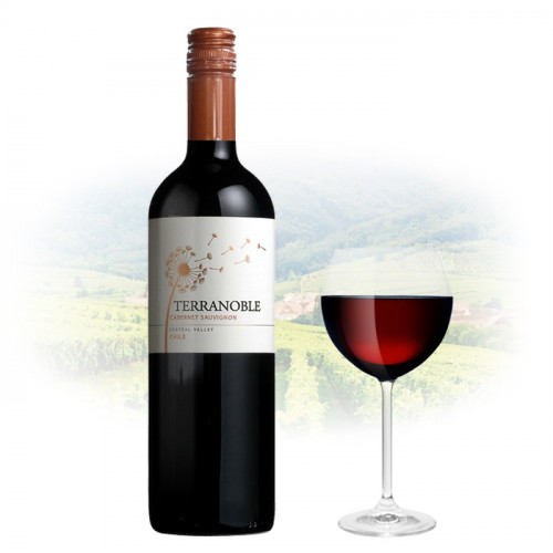 TerraNoble - Estate Cabernet Sauvignon | Chilean Red Wine