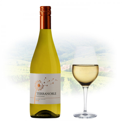 TerraNoble - Estate Chardonnay | Chilean White Wine