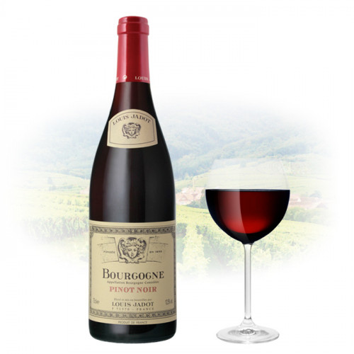 Louis Jadot - Bourgogne - Pinot Noir - 2021 | French Red Wine
