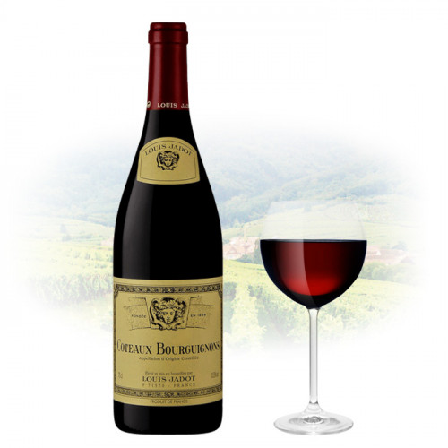 Louis Jadot - Coteaux Bourguignons - 2020 | French Red Wine