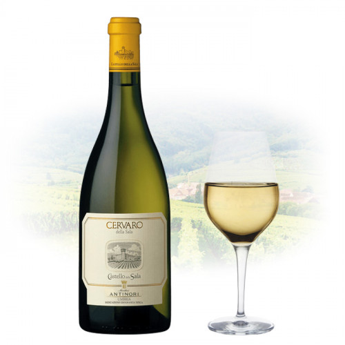 Antinori - Cervaro della Sala - Chardonnay | Italian White Wine