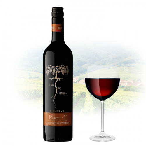 Ventisquero - Root 1 - Cabernet Sauvignon - 2019 | Chilean Red Wine