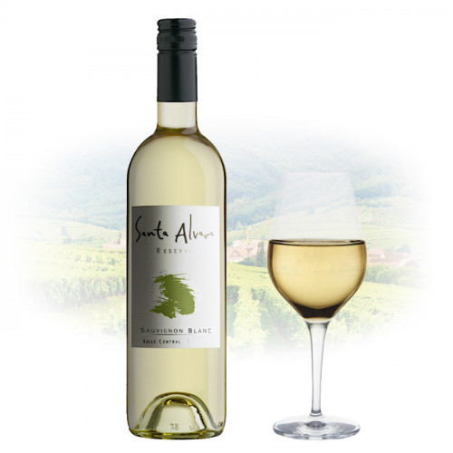 Santa Alvara Reserva - Sauvignon Blanc | Chilean White Wine