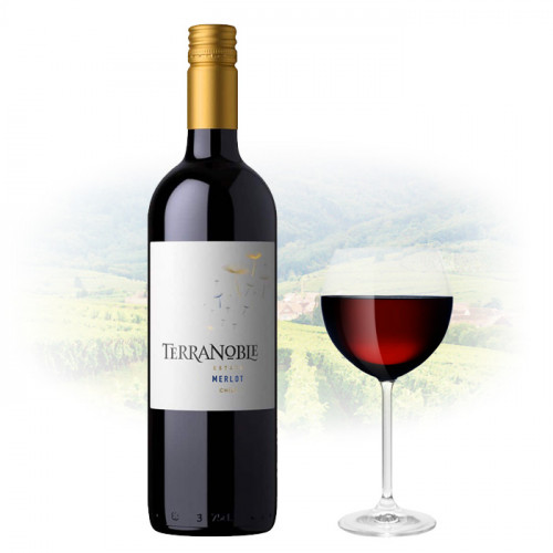TerraNoble - Estate - Merlot | Chilean Red Wine