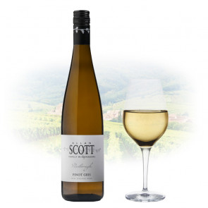 Allan Scott - Pinot Gris | New Zealand White Wine