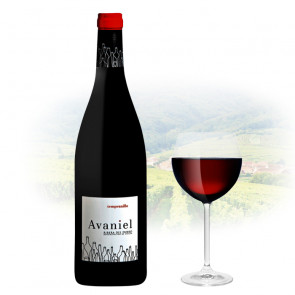Monteabellon - Avaniel | Spanish Red Wine