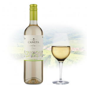 Canepa - Novísimo Sauvignon Blanc | Chilean White Wine