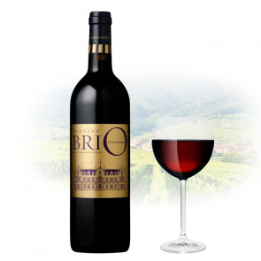 Château Cantenac Brown - BriO de Cantenac Brown Margaux - 2020 | French Red Wine