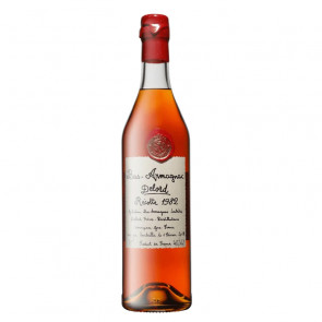 Bas-Armagnac Delord Récolte 1982 | French Brandy