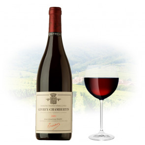 Domaine Trapet Père et Fils - Gevrey-Chambertin Ostréa - 2016 | French Red Wine