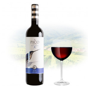 El Pico De Illana - Petit Verdot | Spanish Red Wine