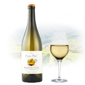 François Cotat - Cuvée Paul Sancerre | French White Wine