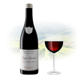 Goyo Garcia Viadero - Joven de Viñas Viejas | Spanish Red Wine