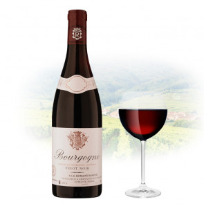 Jean-Claude Ramonet - Bourgogne Pinot Noir | French Red Wine