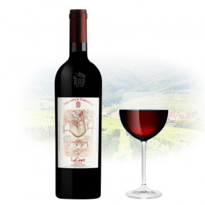 Michele Chiarlo - La Court - Nizza Riserva DOCG - 2019 | Italian Red Wine
