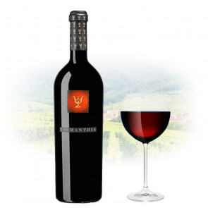 Numanthia Termanthia | Spanish Red Wine