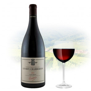 Domaine Trapet Père et Fils - Gevrey-Chambertin Ostréa - 1.5L | French Red Wine