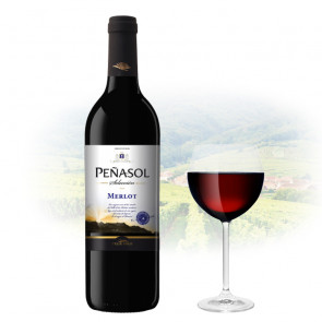Félix Solís - Peñasol Selección Merlot | Spanish Red Wine