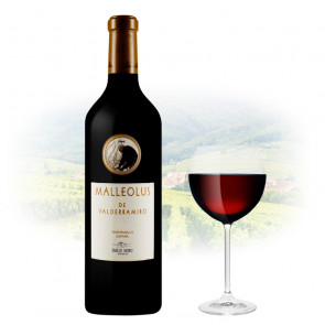 Emilio Moro - Malleolus de Valderramiro - 2018 | Spanish Red Wine