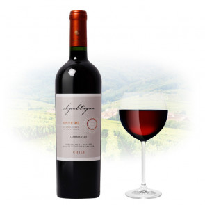 Apaltagua - Envero Carmenère Gran Reserva | Chilean Red Wine