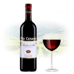 Pio Cesare - Barbera d'Alba | Italian Red Wine
