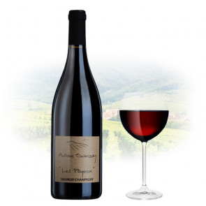 Antoine Sanzay - Saumur Champigny - Les Poyeux | French Red Wine