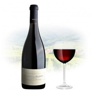 Amiot-Servelle - Chambolle-Musigny 1er Cru Derrière La Grange | French Red Wine