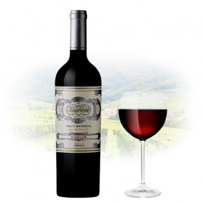 TerraNoble - Gran Reserva Merlot | Chilean Red Wine