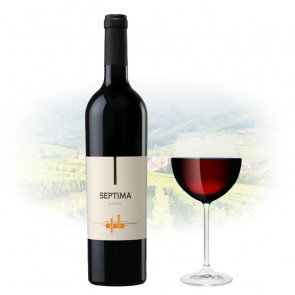 Septima - Malbec | Argentinian Red Wine