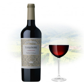 TerraNoble - Reserva Especial Carménère | Chilean Red Wine