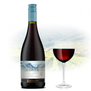 Ventisquero - Queulat Gran Reserva - Pinot Noir - 2022 | Chilean Red Wine